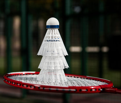 Badminton Set Outdoor Family – Net, 4 Rackets, Shuttlecocks & Carry Bag